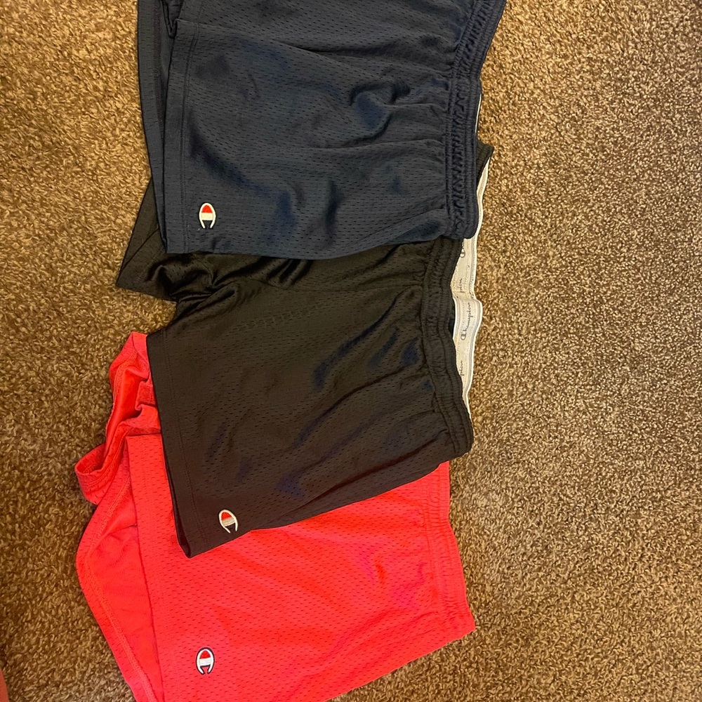 3 champion women’s shorts